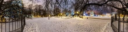 Исторический центр Киева ночью. Липа Петра Могилы. Фотография.
