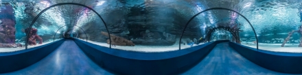 Анталийский аквариум, пушка. Фотография.