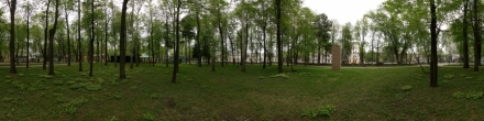 Городской парк в мае. Цветы. Пермь. Фотография.