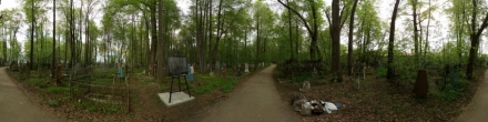 Дорожка на старом кладбище. Фотография.