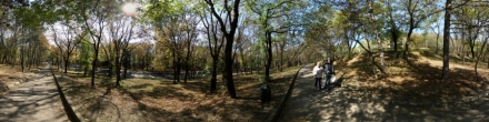 Дорожка в Емануелевском парке. Фотография.