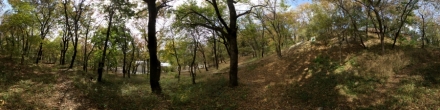 Парк возле Товиевского источника. Фотография.