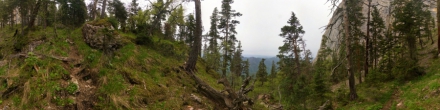 Лес у стены горы Большой Тхач. Фотография.