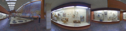 Московский палеонтологический музей, зал 5-4.. Москва. Фотография.