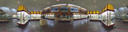 Московский палеонтологический музей, зал 6-2.. Москва. Фотография.
