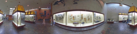 Московский палеонтологический музей, зал 5.. Москва. Фотография.