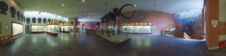 Московский палеонтологический музей, зал 1.. Москва. Фотография.