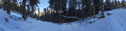 Зимний лес. Архыз. Фотография.