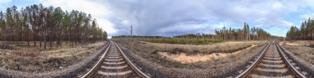 Железная дорога Луга - Великий Новгород. Луга. Фотография.