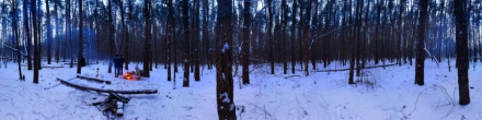 Лес, Костер, Зима. Фотография.