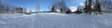Дно пруда. Ханты-Мансийск. Фотография.