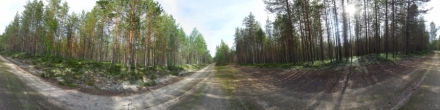 Карелия, дорога. Фотография.