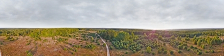 Шишков посёлок (50 метров). Шишков. Фотография.