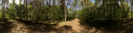 Развилка. Пермь. Фотография.