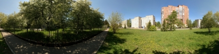 Ул. Подлесная. Яблони возле госпиталя. Пермь. Фотография.