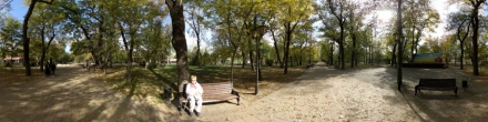 Центральная аллея 2019. Фотография.
