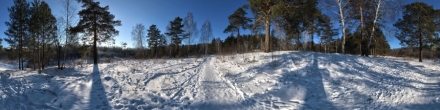 Солнечная роща. Томск. Фотография.