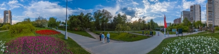 Воронцовский парк. Тюльпаны.. Москва. Фотография.