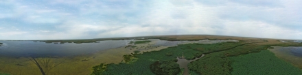 лотосы Ганюшкино. Ганюшкино. Фотография.