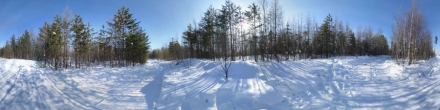Лесная развилка. Фотография.