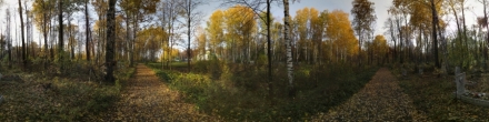 Егошихинское кладбище. Осень. Пермь. Фотография.