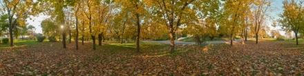 Осенний парк. Фотография.