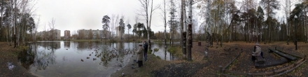 Кормление уток на пруду. Пермь. Фотография.