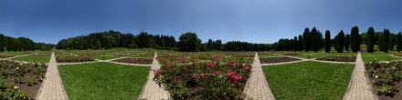Курортный парк, Долина роз. Фотография.