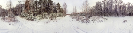 Зимний пейзаж (Правдинский лесной массив). Фотография.