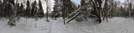 Тропа в зимнем лесу. Пермь. Фотография.