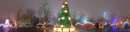 Новогодняя елка в парке им. Октябрьской революции. Фотография.
