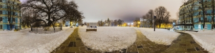 Исторический центр Киева ночью. Липа Петра Могилы. Киев. Фотография.