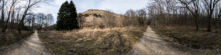 В Кисловодском парке (ранняя весна) (579). Фотография.