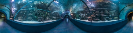 Анталийский аквариум, в начале трубы. Фотография.