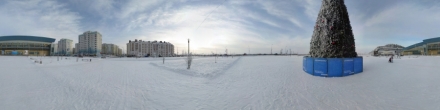 Елка возле аквапарка. Ханты-Мансийск. Фотография.