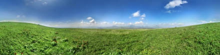 Панорама с горы Лысой. Цветущие пионы (025). Лысогорская. Фотография.