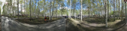 Праздник в парке Лосева. Фотография.