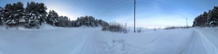 Берег поймы зимой. Ханты-Мансийск. Фотография.