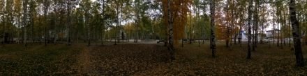 Осенний парк. Ханты-Мансийск. Фотография.