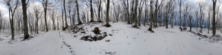 Зимний, бело-голубой лес на Бештау. Пятигорск. Фотография.