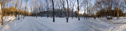 Берёзовая Аллея в зимнем Парке. Кисловодск. Фотография.