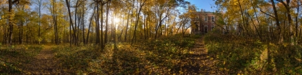 Осень в парке Быково.. Фотография.