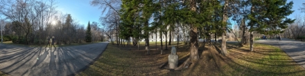 Каменная баба в университетской роще. Фотография.