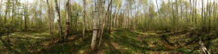 Ручей в весеннем лесу. Пермь. Фотография.