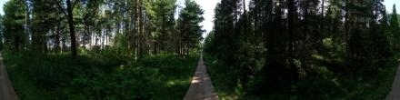 Деревянный тротуар возле Назымской. Ханты-Мансийск. Фотография.