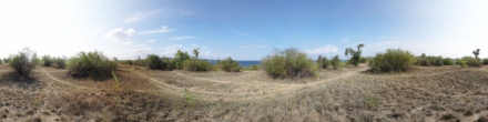 Центральная часть острова Покровские Пески. Фотография.