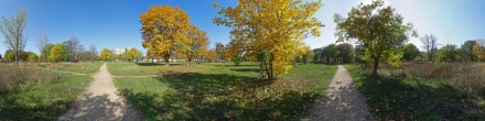 Осень (ещё одна панорама, снятая телефоном с рук) (197). Георгиевск. Фотография.