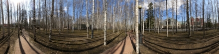 Дорожка в парке. Весна 2020. Ханты-Мансийск. Фотография.