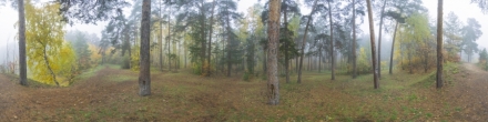 Парк в тумане. Челябинск. Фотография.