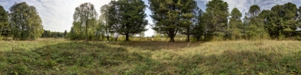 100 самых интересных достопримечательностей Удмуртии: Заякинская кедровая роща. Фотография.